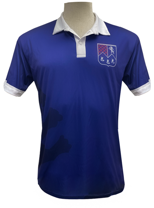 POLERA FUTBOL NIÑOS  / SELECCIONES CORDILLERA